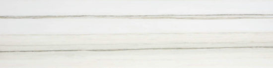 Polished 3X12 Enchantment Bullnose | Young Interiors Flooring Center