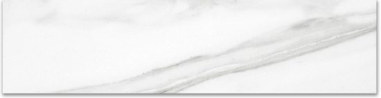 Polished 3X12 Infatuation Bullnose | Young Interiors Flooring Center