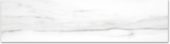 Polished 3X12 Infatuation Bullnose | Young Interiors Flooring Center