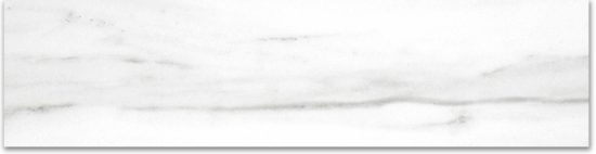Polished 3X12 Infatuation Bullnose | Young Interiors Flooring Center