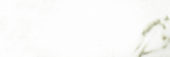 Polished Adoration 10.5X32 | Young Interiors Flooring Center