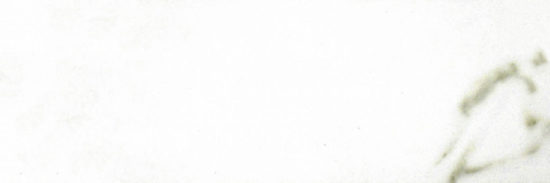 Polished Adoration 10.5X32 | Young Interiors Flooring Center