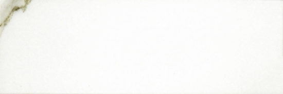 Polished Adoration 10.5X32 | Young Interiors Flooring Center