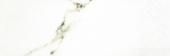 Polished Adoration 10.5X32 | Young Interiors Flooring Center