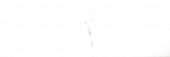 Polished Adoration 10.5X32 | Young Interiors Flooring Center