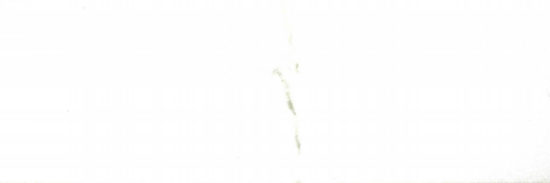 Polished Adoration 10.5X32 | Young Interiors Flooring Center