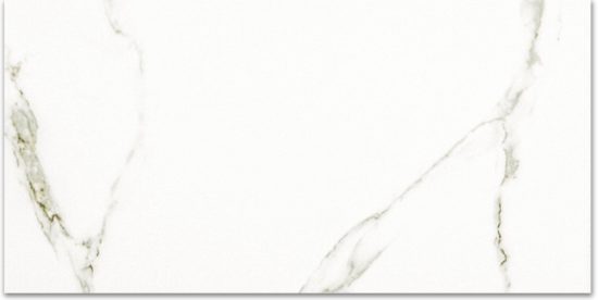 Polished Adoration 12X24 | Young Interiors Flooring Center