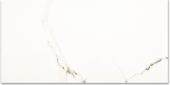 Polished Adoration 12X24 | Young Interiors Flooring Center