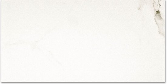 Polished Adoration 16X32 | Young Interiors Flooring Center