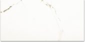 Polished Adoration 16X32 | Young Interiors Flooring Center