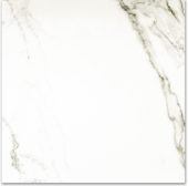 Polished Adoration 24X24 | Young Interiors Flooring Center