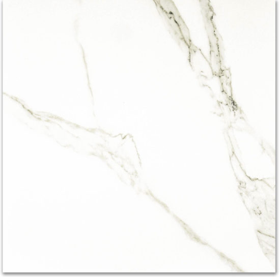 Polished Adoration 24X24 | Young Interiors Flooring Center