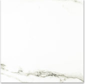 Polished Adoration 24X24 | Young Interiors Flooring Center