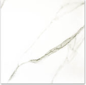 Polished Adoration 24X24 | Young Interiors Flooring Center