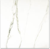 Polished Adoration 24X24 | Young Interiors Flooring Center