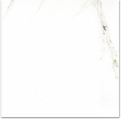 Polished Adoration 24X24 | Young Interiors Flooring Center