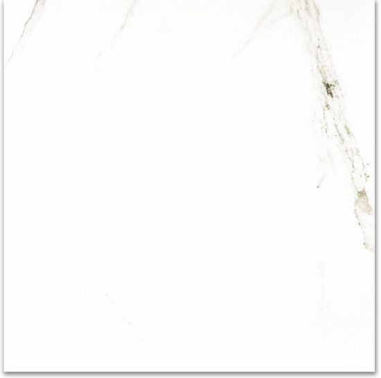Polished Adoration 24X24 | Young Interiors Flooring Center