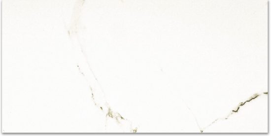 Polished Adoration 24X48 | Young Interiors Flooring Center