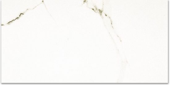 Polished Adoration 24X48 | Young Interiors Flooring Center