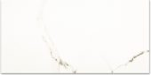 Polished Adoration 24X48 | Young Interiors Flooring Center