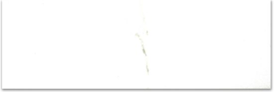 Polished Adoration 4X12 | Young Interiors Flooring Center