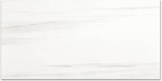Polished Devotion 12X24 | Young Interiors Flooring Center