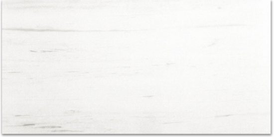 Polished Devotion 12X24 | Young Interiors Flooring Center