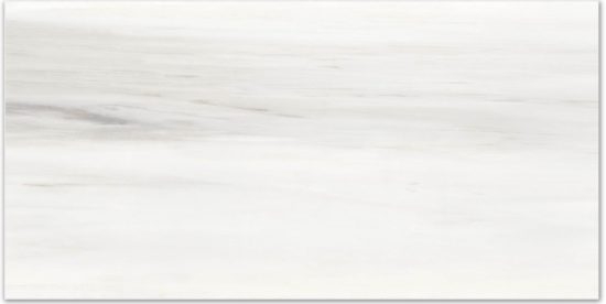 Polished Devotion 16X32 | Young Interiors Flooring Center
