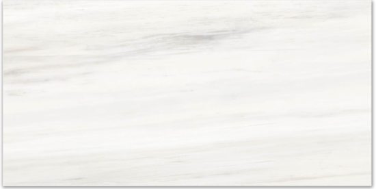 Polished Devotion 16X32 | Young Interiors Flooring Center