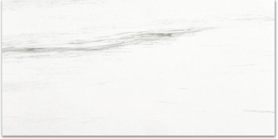 Polished Devotion 24X48 | Young Interiors Flooring Center