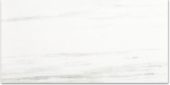 Polished Devotion 24X48 | Young Interiors Flooring Center