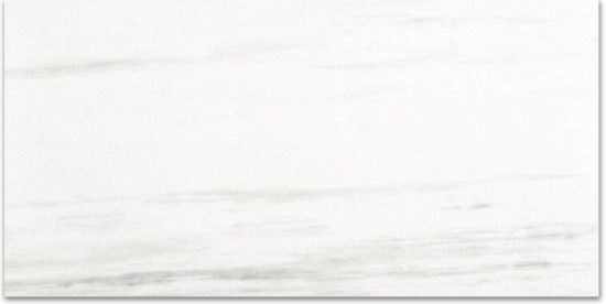 Polished Devotion 24X48 | Young Interiors Flooring Center