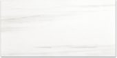 Polished Devotion 24X48 | Young Interiors Flooring Center
