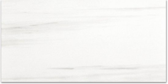 Polished Devotion 24X48 | Young Interiors Flooring Center
