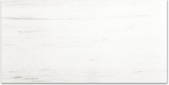 Polished Devotion 24X48 | Young Interiors Flooring Center