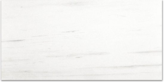 Polished Devotion 24X48 | Young Interiors Flooring Center