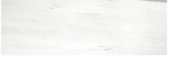 Polished Devotion 4X12 | Young Interiors Flooring Center