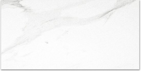 Polished Infatuation 12X24 | Young Interiors Flooring Center