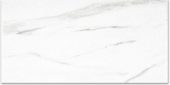 Polished Infatuation 12X24 | Young Interiors Flooring Center