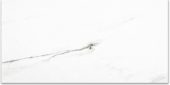 Polished Infatuation 16X32 | Young Interiors Flooring Center