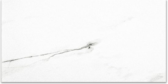 Polished Infatuation 16X32 | Young Interiors Flooring Center