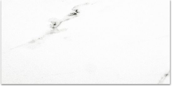 Polished Infatuation 16X32 | Young Interiors Flooring Center