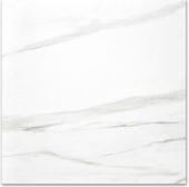 Polished Infatuation 24X24 | Young Interiors Flooring Center