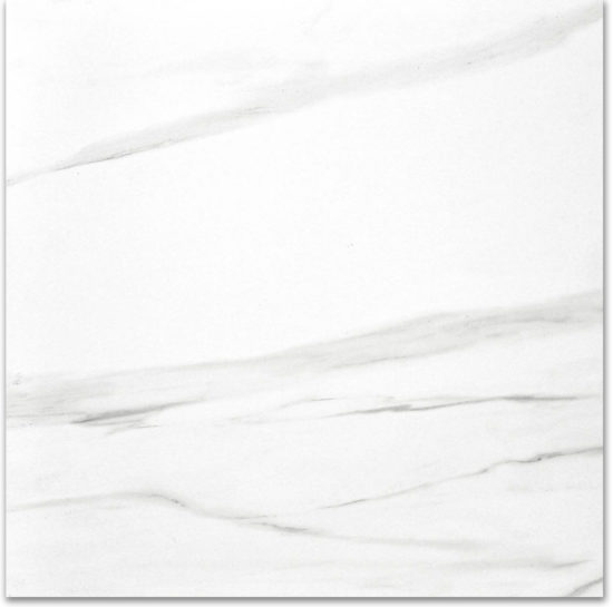 Polished Infatuation 24X24 | Young Interiors Flooring Center
