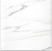 Polished Infatuation 24X24 | Young Interiors Flooring Center