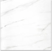 Polished Infatuation 24X24 | Young Interiors Flooring Center