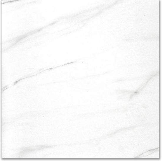 Polished Infatuation 24X24 | Young Interiors Flooring Center