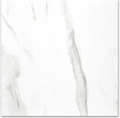 Polished Infatuation 24X24 | Young Interiors Flooring Center