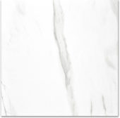 Polished Infatuation 24X24 | Young Interiors Flooring Center