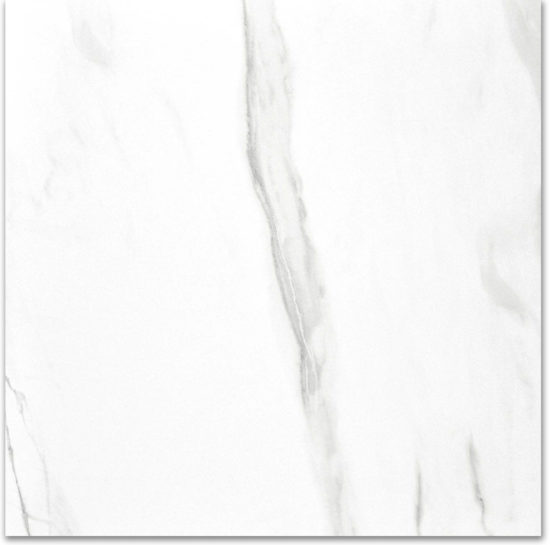 Polished Infatuation 24X24 | Young Interiors Flooring Center